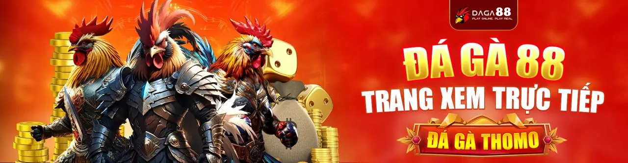 Sân đấu đá gà trực tuyến kịch tính tại xibet chính thức