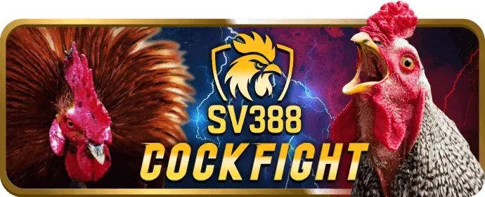 Đăng nhập vào ứng dụng xibet chính thức